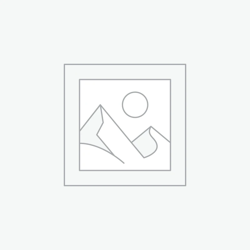 Orecchino oro e ametista